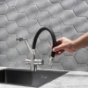 Смеситель для кухни РМС SUS127BL-016F-015 с фильтром для питьевой воды Нержавеющая сталь Черный