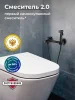 Гигиенический душ со смесителем РМС SUS129BL-5-2 Черный
