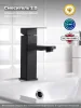 Смеситель для раковины РМС SUS125BL-001F Нержавеющая сталь Черный