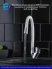 Смеситель для кухни РМС SL137W-016F с гибким изливом Хром