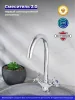 Смеситель для кухни РМС SL115-274F двуручковый Хром