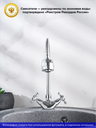 Смеситель для кухни РМС SL65-279F с гибким изливом Хром