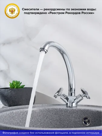 Смеситель для кухни РМС SL115-273F двуручковый Хром