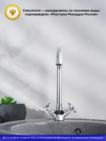 Смеситель для кухни РМС SL115-274F двуручковый Хром
