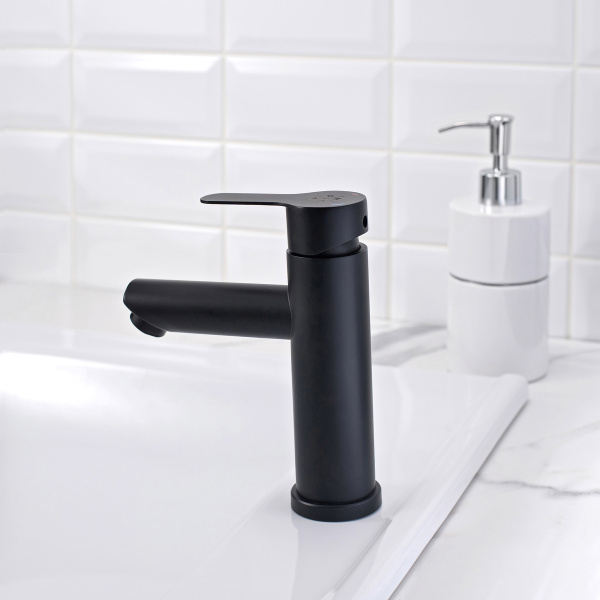 Смеситель для раковины РМС SUS124BL-001F Нержавеющая сталь Черный